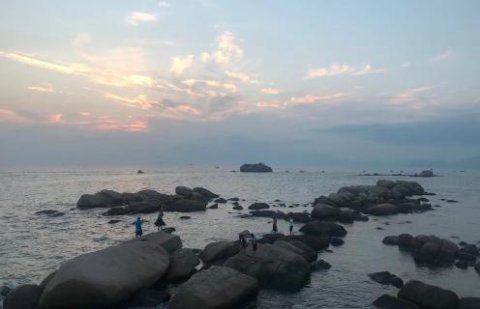 问鼎娱乐：新的经营模式应当立足在商业模式之上